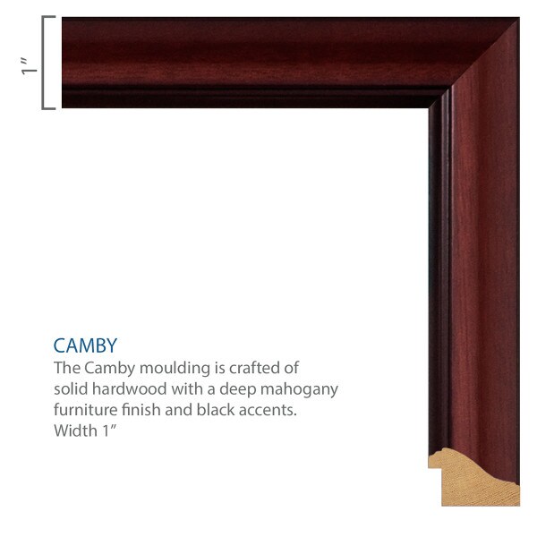close up of Camby frame moulding